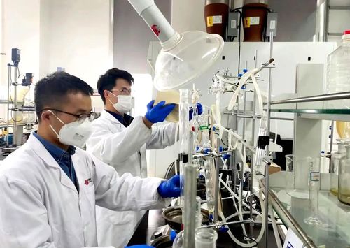 國家能源集團PAO基礎油成套技術 填補國內空白，引領環境科技高質量發展
